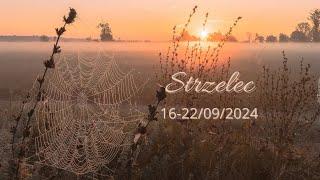 Strzelec  16-22/09/24  Decyzje, decyzje, decyzje. Zwracaj uwagę na znaki z góry 