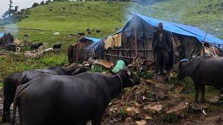 Naturallly peaceful and beautiful himalayan mountain village  Rural Life || iam misar