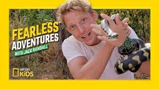 Hunting a Python and Blue-Tongue Lizard | Fearless Adventures with Jack Randall