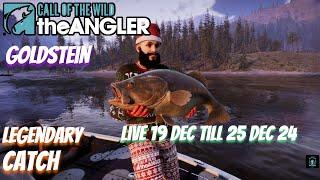 Goldstein live 19 Dec Till 25 Dec 24 #COTWTheAngler