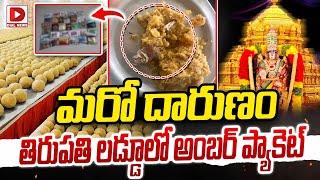 LIVE : మరో దారుణం.. తిరుపతి లడ్డూలో అంబర్‌ ప్యాకెట్‌ | Amber Packet In Tirupati Laddu | Dial News