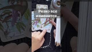 Срочно️% Точное Предсказание...  Расклад таро #shorts  #онлайнгадание