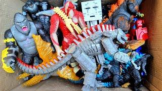 Hunting Found Godzilla x Kong, Shark, Skar King, King Ghidorah, T-Rex, Mosasaurus, Shin Godzilla