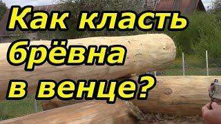 Принципы укладки брёвен в венце. Сруб своими руками. Часть 11/2.