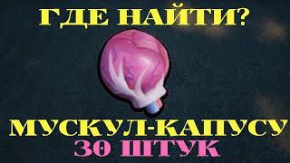 ГДЕ НАЙТИ МУСКУЛ-КАПУСТУ 30 ШТУК  GROUNDED