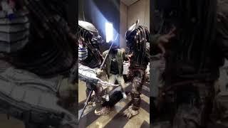 PREDATOR V PREDATOR: On Sight   /_\ #predatorcosplay #cosplay #predatormovie