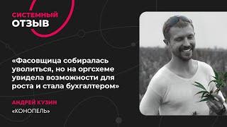 Андрей Кузин. Отзыв о Системе