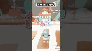 shark puppy pet||Tropicalxstella