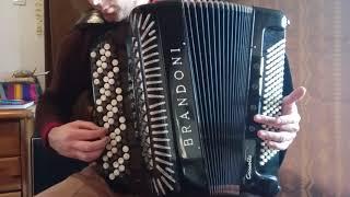 Brandoni (3/5 reeds) Compact Cassotto accordion