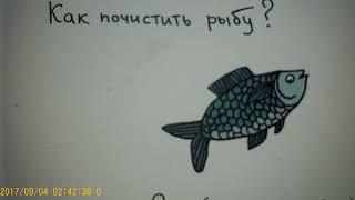 Не простая женщина З К--  показуха в готовке , в кадре и за кадром