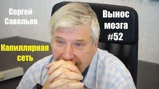 «Капиллярная сеть» Сергей Савельев (Вынос мозга #52)