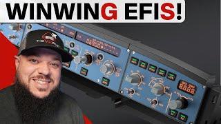 WinWing EFIS Review - Pros, Cons Is It for you?