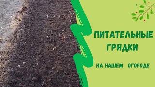 Питательные грядки на нашем огороде. Затрат никаких , а польза великая