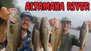 FALL BASS FISHING ON THE ALTAMAHA RIVER 