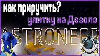 Astroneer Обновление 2022//Как приручить улитку на Дезоло // xenobiology update ASTRONEER ГАЙД