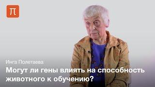 Генетика поведения - Инга Полетаева