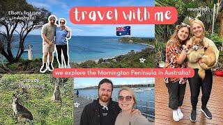 Things to do on the Mornington Peninsula | Australia Travel Vlog | seeing kangaroos at Cape Schanck