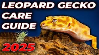 Leopard Gecko Complete Care Guide 2025