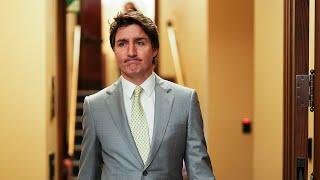 How will Trudeau react to facing internal opposition inside Liberal party | CANADIAN POLITICS