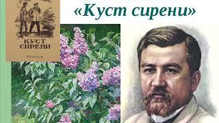 Куст сирени, Куприн А.И.