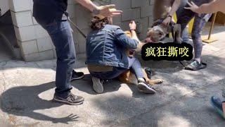 比特犬失控咬人，如何正确打狗自保