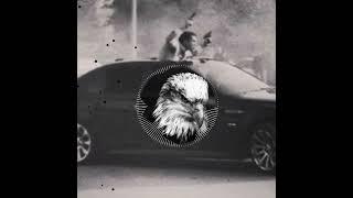 Caucas (Traphooster remix)
