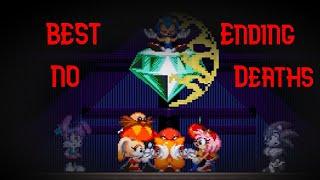 (OLD) I BEAT THE LAST ENDING WITH NO DEATHS AND SAVED EVERYONE!!! | Sally.exe: WoS - Best Ending