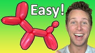 How to Make a Balloon Dog - Beginner Balloon Twisting Tutorial