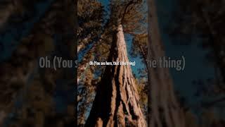 Dom Dolla - No Room For A Saint (feat. Nathan Nicholson) [From F1 The Movie] | Lyrics