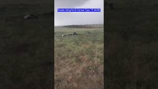 First Footage: Russia Using North Korean Type 75 MLRS!