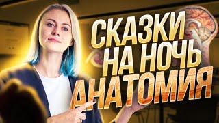 Сказки на ночь.#6 Анатомия | Биология ЕГЭ – Ксения Напольская