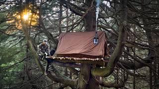 Building a Cozy Bushcraft TREEHOUSE on a Ancient Tree | Pt. 1