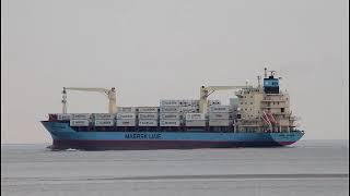 MAERSK ARKANSAS - Shipspotting Elbe height Otterndorf - 4K VIDEO 