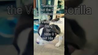 "Someone Shut the door" A song about our Dog Duke | FULL MUSIC VIDEO | Original song