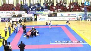 Campionatul mondial de HAND TO HAND FIGHTING finala