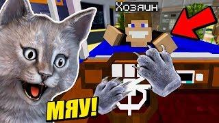 НЕПОСЛУШНЫЙ КОТЁНОК УКРАЛ МАШИНУ!! МАЙНКРАФТ ЖИЗНЬ КОТИКА 14 СЕРИЯ