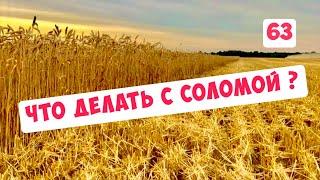 ЧТО ДЕЛАТЬ С СОЛОМОЙ ПОСЛЕ УБОРКИ ?