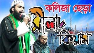 জগৎ সেরা মীলাদ কিয়াম|| Best Milad Kiam|| Milad o kiyam