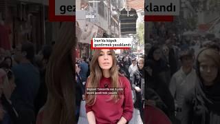 İran'da köpek gezdirme yasağı