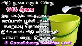 வீடு துடைக்கும் போது அரை டம்ளர் இதை மட்டும் ஊத்துங்க!! house cleaning tips and tricks#cleaningtips