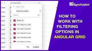 How to Work with Filtering Options in Angular DataGrid