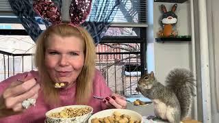 Squirrel whisperer Cynthia Beaumont having breakfast with her pet squirrel Hazel