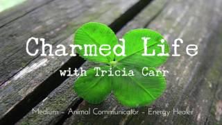 Guided Meditation - Rooting, Light, Chakras - by Tricia Carr