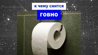 Сонник — к чему снится говно