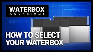 A Guide to Choosing Your Ideal Waterbox:  From 6 to 320 Gallons!