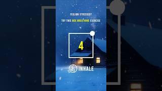 Chill Your Nerves – Box Breathing with Snowstorm Cabin View #WhiteNoise