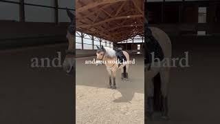 #horse #equestrianjourney #equestrian #pferdesport #riding #pferdetraining #pferde #fjordpferd