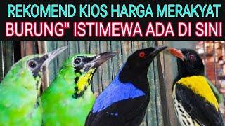 REKOMEND KIOS HARGA MERAKYAT BURUNG" ISTIMEWA ADA DI SINI KIOS DUL PASAR BURUNG PRAMUKA HARI INI