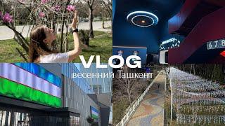 VLOG: весна в Ташкенте, кинотеатр CINEMATICA TASHKENT CITY MALL, набережная Анхор new