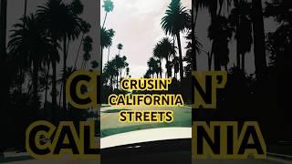 Palm trees & sunshine, the ultimate West Coast vibe ️ #california #palmtrees #driving #tourism